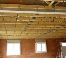 La for&ecirc;t des suspentes termin&eacute;e ;-)