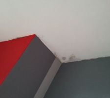 Traces noires dans la chambre d'ami