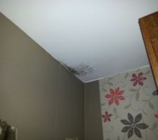 Traces noires dans notre chambre