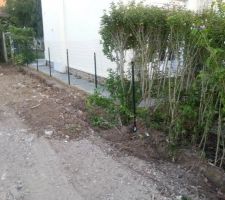 Ils ont fini de détruire la clôture mitoyenne, là où nous avons posé ce we du grillage