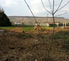 Vu depuis les 3/4 de la longueur