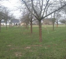 Vu du terrain avec emplacement de la maison