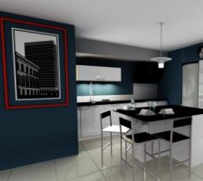 Voilà une photo de notre futur cuisine.
Meubles laquées blanc, plan de travail en quartz noir, îlot central avec rangement   tout l'électro ménagés.