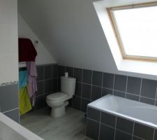 Salle de bain (baignoire et wc de l'étage)