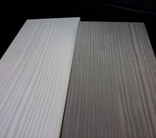 Facades de porte pour la cuisine
A gauche : Fantasy blanc (coloris choisi)
A droite :Fantasy gris