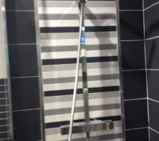 Douche à imaginer avec la déco de l'autre photo (les grands carreaux gris seront eux beige)