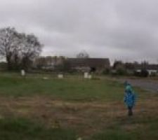 Pour le moment il n'y a que l'herbe qui pousse...pousse...pousse....