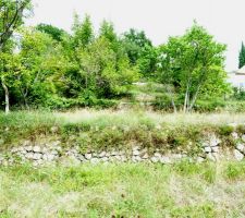 Coup de coeur pour ce terrain