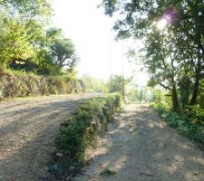 Coup de coeur pour ce terrain