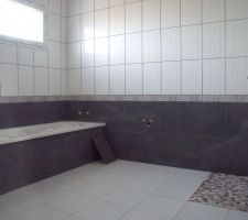 Salle de bain carrel&eacute;e