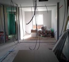 Vue prise du garage ....