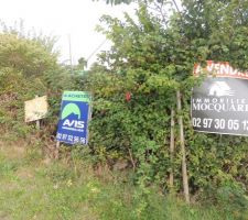 Au mois d'aout, au cours d'une promenade en v&eacute;lo...