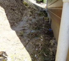 Pignon arrière avec l'entrée du vide sanitaire