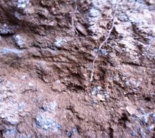 Comme je le craignais, les ferrailles de nos fondations ne sont pas enrobes de b&eacute;ton.