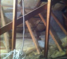 Voici une contrefiche sur je voudrais supprime pour y mettre velux juste au dessus