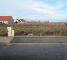 Voici le terrain encore vierge