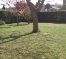 Entre deux, faut entretenir le jardin