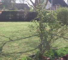 Entre deux, faut entretenir le jardin