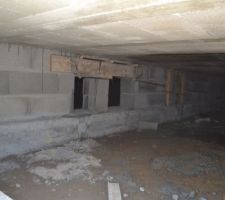Vide sanitaire