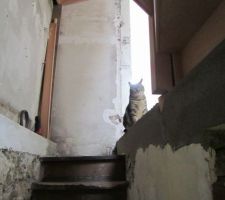 Finition du mur sous l'escalier