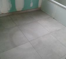 Carrelage pièces d'eau, ok!!!