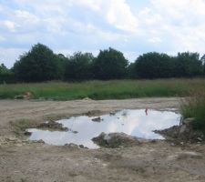 Notre terrain est la partie o&ugrave; il y a les herbes hautes.