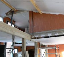 Plafonds et mezzanine