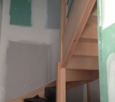 Enfin termin&eacute; l'&eacute;chelle !!!!