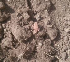 On déloge les habitants qui squattent le tas de terre