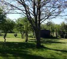 Vue sud depuis la probable future disposition de notre salon.