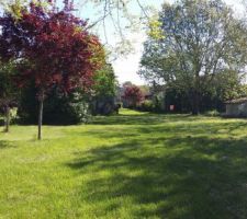 Vue est depuis la probable future disposition de notre salon.