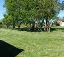 Vue depuis l'entr&eacute;e du terrain