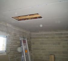 Garage avec trappe