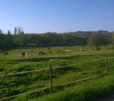 Vue depuis le jardin côté sud ouest et à l'ouest sur une partie de bois