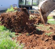 Sorti de 6 troncs d'arbres &agrave; 2tonnes l'unit&eacute;