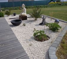 Jardin zen avec les pivoines qui commencent à fleurir 20 04 2014