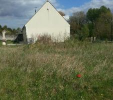 Bornage de la maison fait !