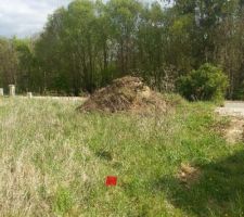 Bornage de la maison fait !