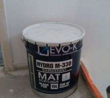 Peinture plafond => Brico depot ! Evo-K ras.