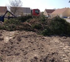 Arbre abattu au fond du terrain...
A plus les toilettes du chantier d'a coté :(