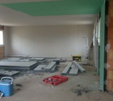 Les Plaquistes au boulot, &ccedil;a travaille bien et vite.