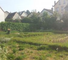 Piquetage du terrain (vue du portail)