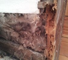 Destruction des plafonds