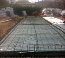 Polyane, releveur de treillis et première couche de treillis ST25