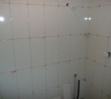 Faïence de la salle de bain