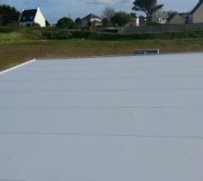 Membrane PVC