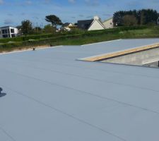 Membrane PVC