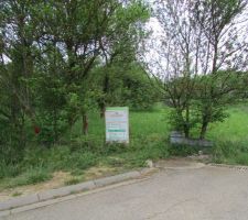 Ce matin abatage des arbres !!!!