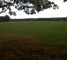 Terrain