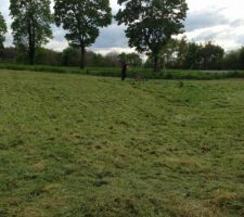 Préparation du terrain pour implantation et terrassement la semaine prochaine